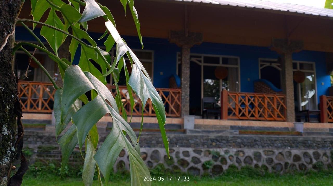סנרו Blue Mountain Cottage מראה חיצוני תמונה
