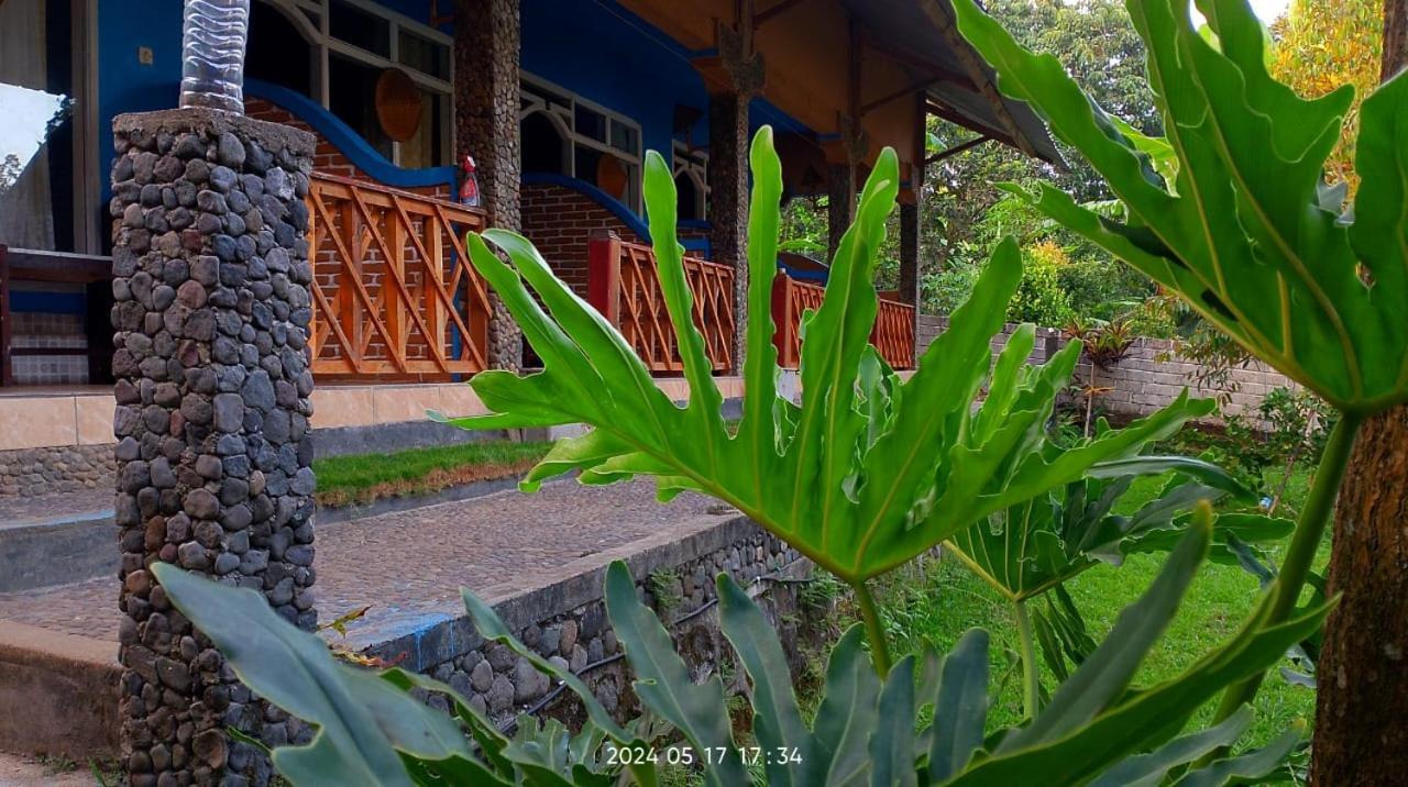 סנרו Blue Mountain Cottage מראה חיצוני תמונה
