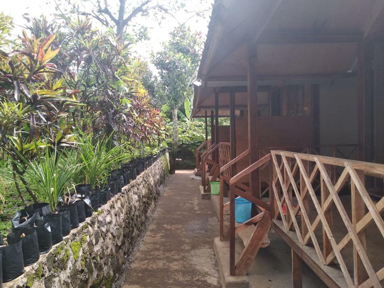 סנרו Blue Mountain Cottage מראה חיצוני תמונה